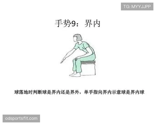 球碰裁判算谁的球权?规则解析告诉你 球碰裁判算谁的球权?规则解析告诉你